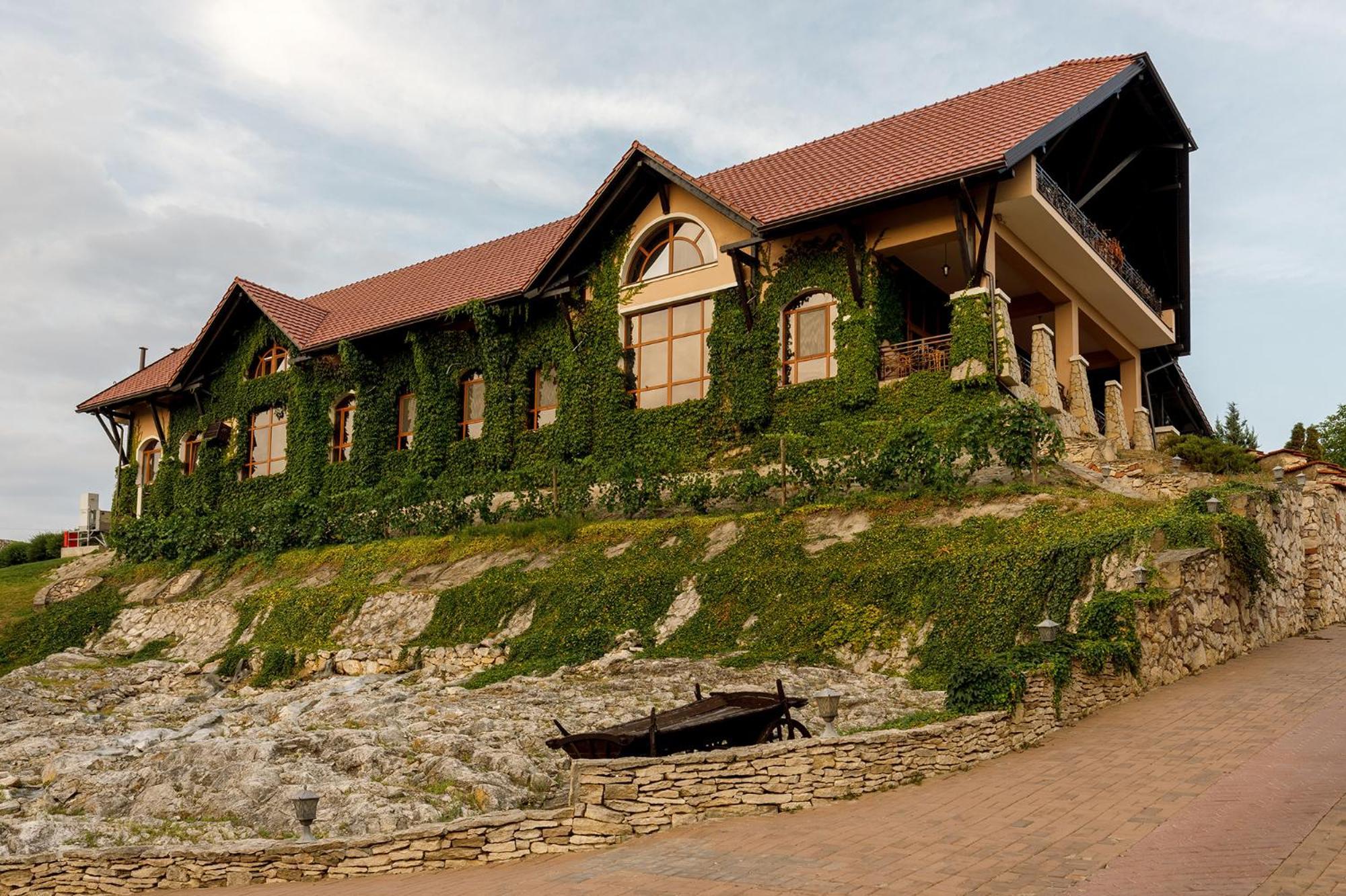Chateau Vartely Orhei Bagian luar foto